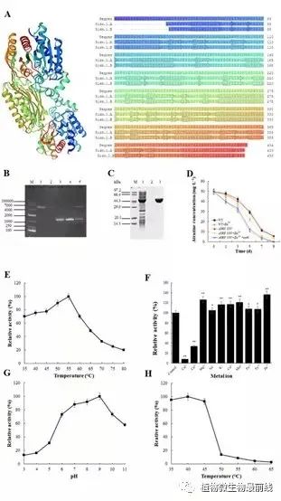 科研进展 吉林农业大学张浩教授课题组在莠去津残留污染微生物修复取得新突破