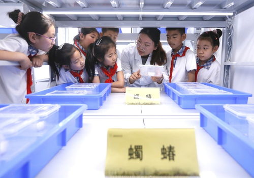 教育 科普课堂 感受生物多样性