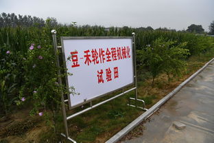 这个实验站,是一座设在田间科研殿堂