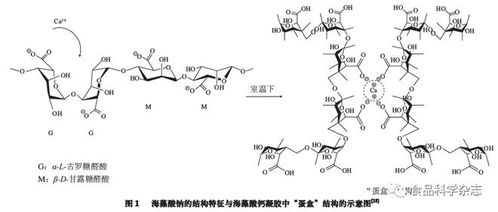 食品科学 中国农业大学毛立科副教授等 复配海藻酸盐凝胶作为传递体系的研究进展