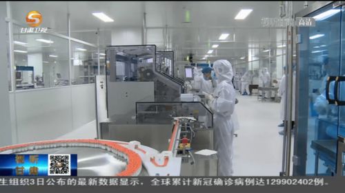 首批 甘肃造 新冠疫苗投产下线