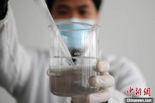 产量创新高 新疆大豆高产 动能 源自哪里
