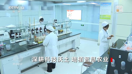 深耕科技沃土 培植智慧农业