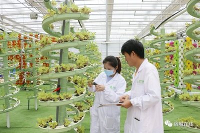 宿迁宿城:做强现代种业激活乡村振兴“芯”动力