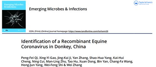 山东省农业科学院畜牧兽医所在马属动物传染病研究方面取得突破性进展