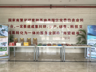 国家级!陵水广陵南繁科研育种专家服务基地成功入选
