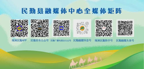 民勤 科技育种西瓜结出 创新果