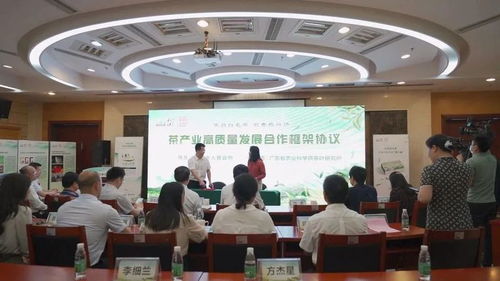 4月24日,乐昌白毛茶区域公共品牌亮相