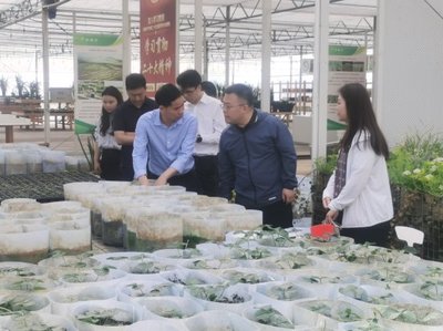 花溪区委常委、组织部部长张楠一行来院调研座谈