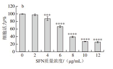 食品科学 河北农业大学王向红教授等 萝卜硫素对结肠癌细胞侵袭和转移的影响