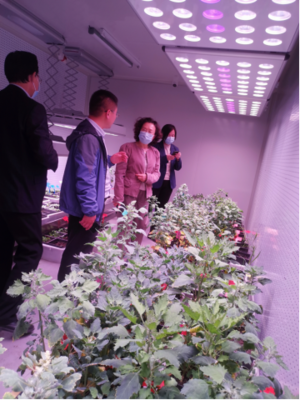 德州市外办推动农业科学研究和试验发展的战略与实践