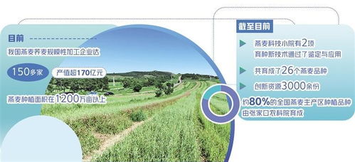 燕麦产业化发展迈上新台阶 农业科学研究和试验发展的关键作用