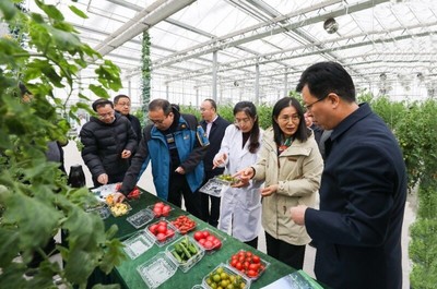 省农业农村厅副厅长曹丽虹一行赴我院溧水基地调研设施农业与智慧农业建设