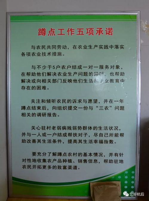 农业农村部全国农技中心 中国农技协专家来杭锦后旗调研科技小院建设情况