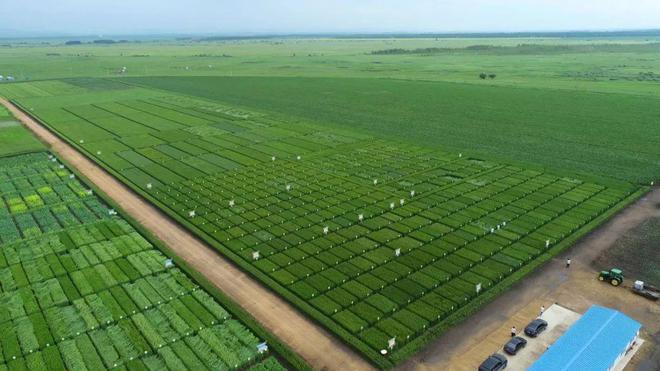 科学种植新优品种 建好现代农业试验田