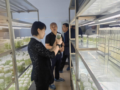 市科技局局长王立荣到山西农业大学高寒区作物研究所调研