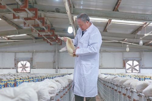 侯水生委员 我国应优先发展高质量家禽产业