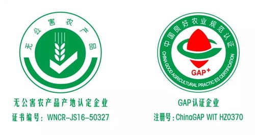 重磅梳理 什么是绿色农业 这一篇有详解 附现状及对策研究