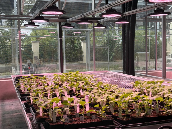 第二届全国智能植物工厂学术研讨会圆满召开 托普云农协同助力学术创新与产业转化